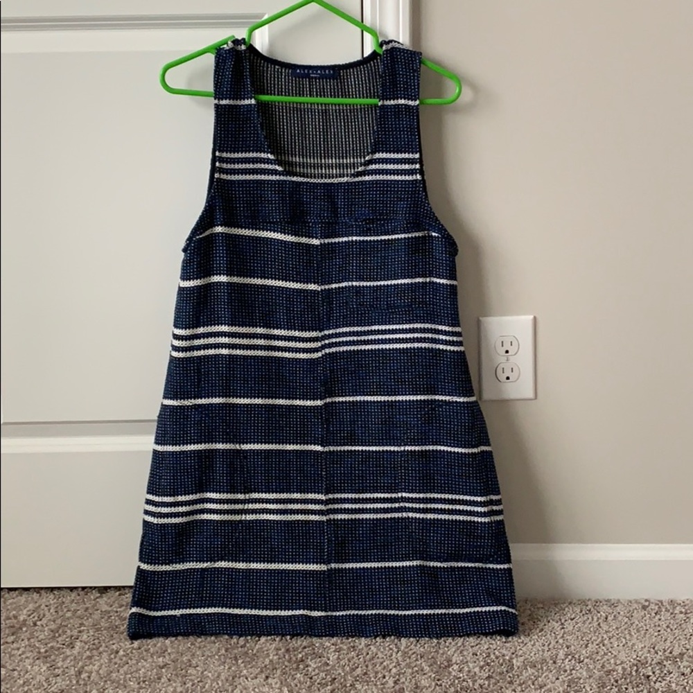 Alex + Alex Blue striped dress